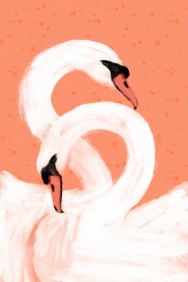 Graceful Swans | Artbanx UK