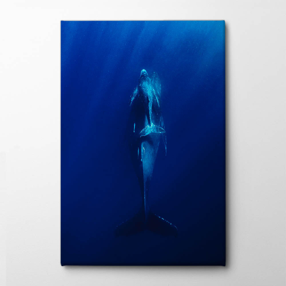 Deep blue sea Canvas Print