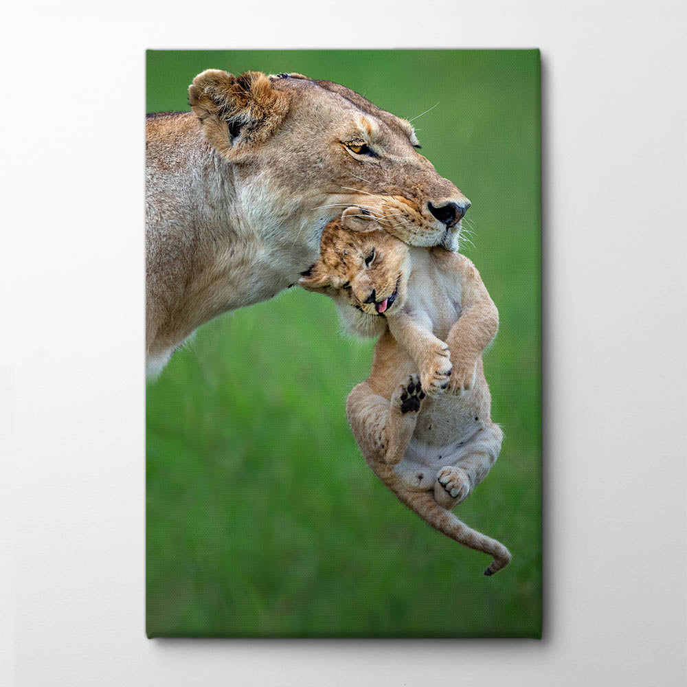 Lioness with cub Canvas Print