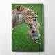 Sticky Image