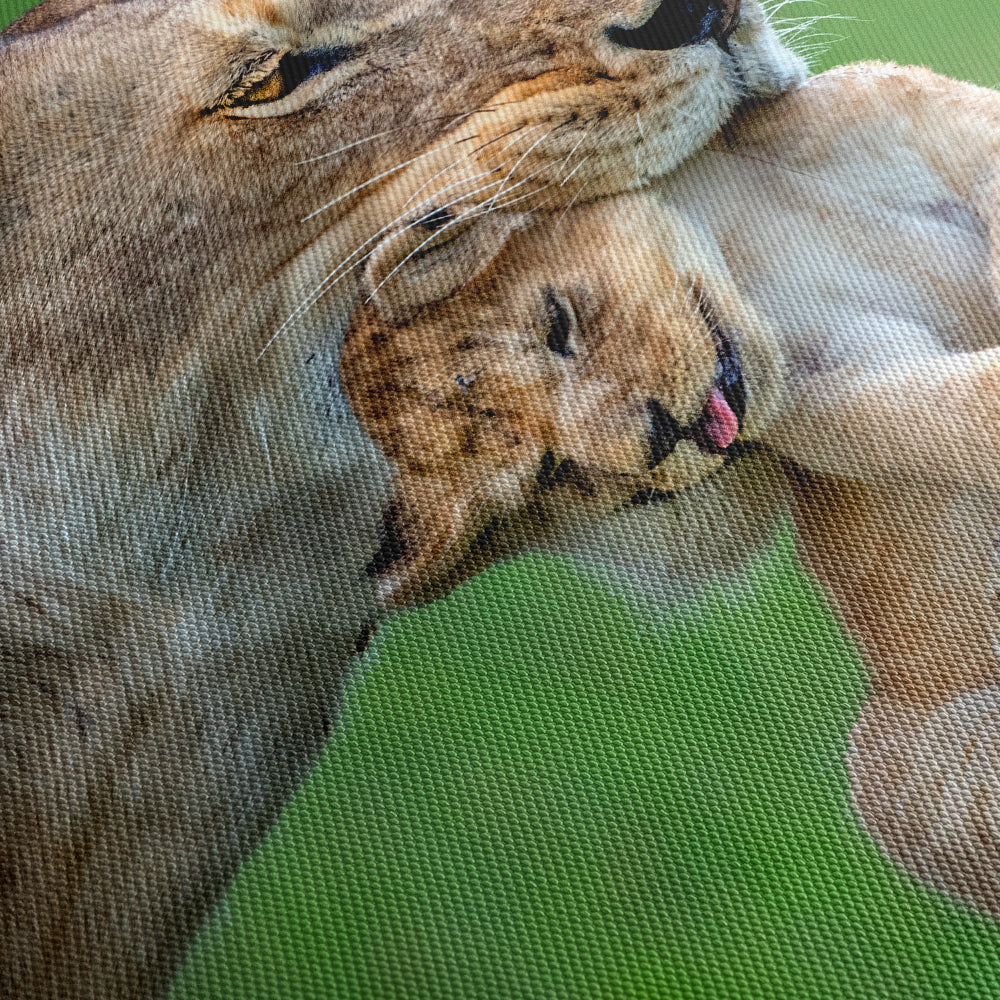 Lioness with cub Canvas Print Close Up