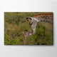 Sticky Image