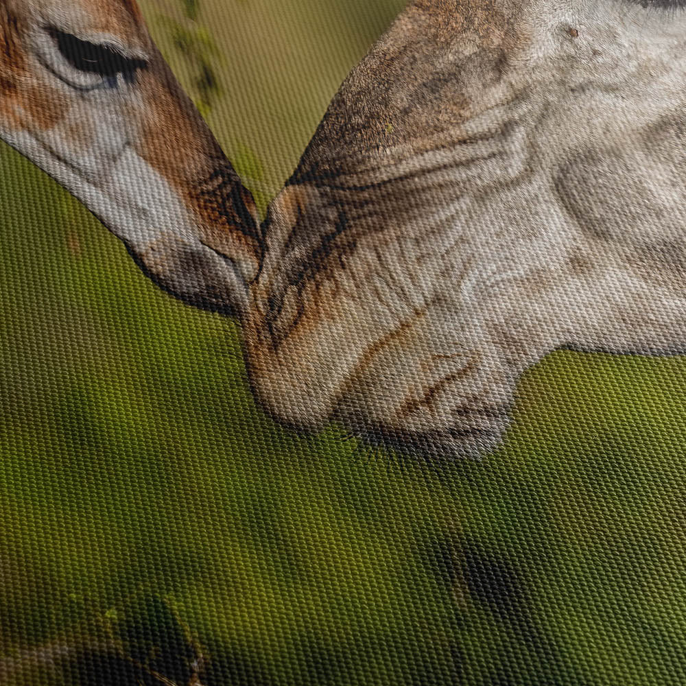 Kiss ! Canvas Print Close Up