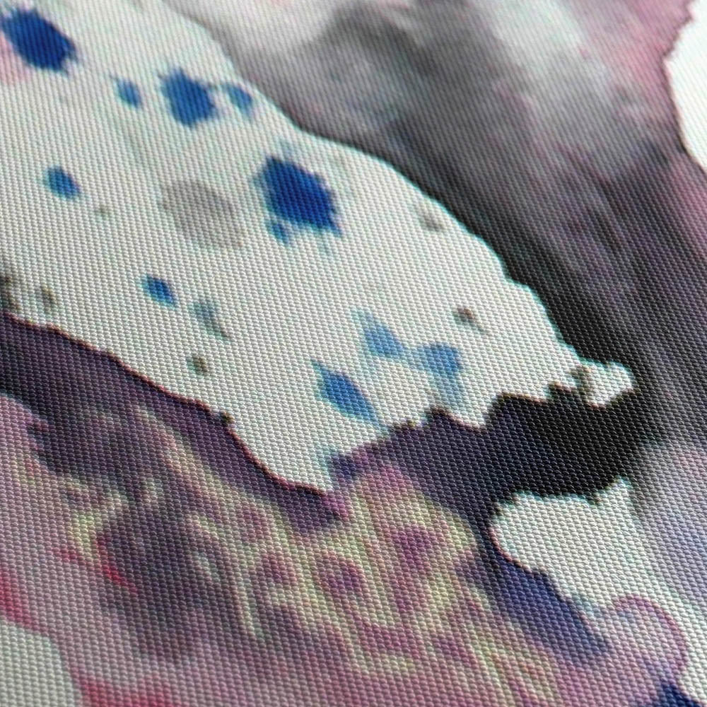 Sakura Time 2 Canvas Print Close Up