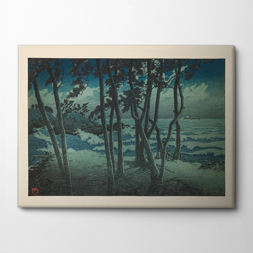 Hinomisaki Canvas Print