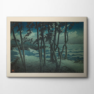 Hinomisaki Canvas Print