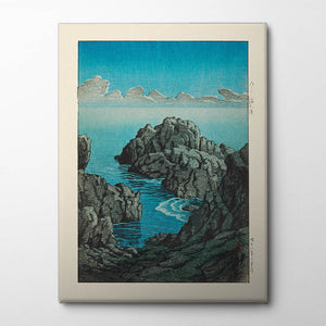 Shinkubo Canvas Print