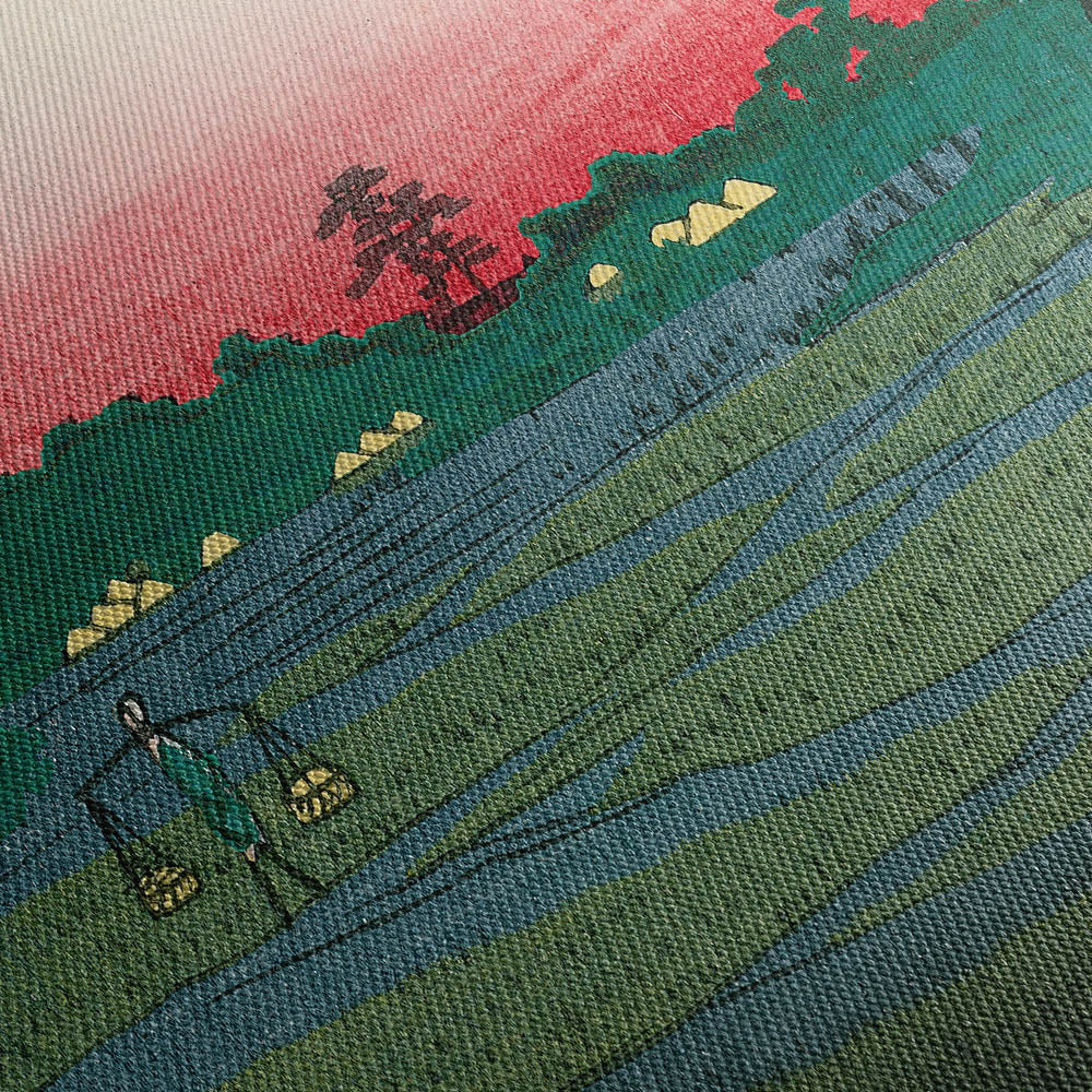 Minowa Canvas Print Close Up