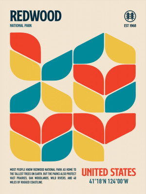 Redwood National Park Travel Poster | Artbanx UK